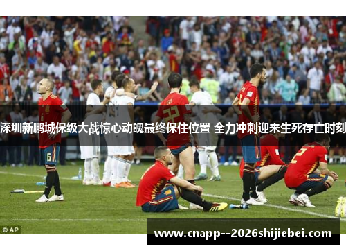 深圳新鹏城保级大战惊心动魄最终保住位置 全力冲刺迎来生死存亡时刻