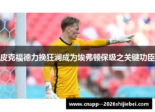 皮克福德力挽狂澜成为埃弗顿保级之关键功臣 皮克福德力挽狂澜成为埃弗顿保级之关键功臣
